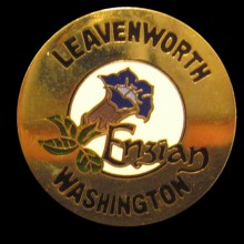 Leavenworth Washington Pin